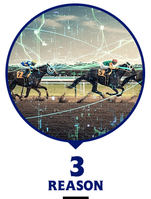 競馬予想の完成形 画像